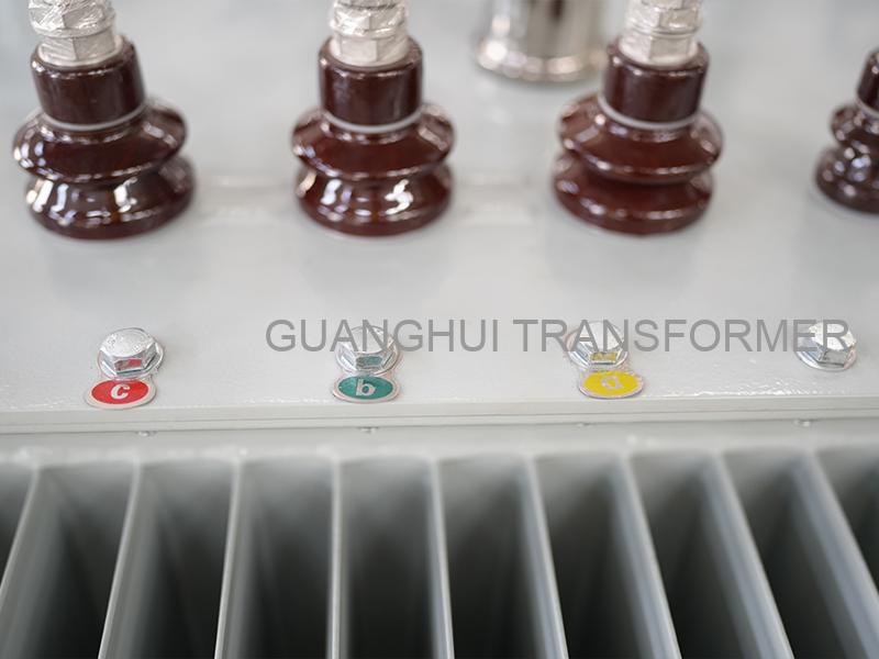 300kVA Single-Phase Oil-Immersed Power Transformer (S13-300/10)